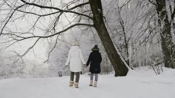 Back View Happy Family Walking Snowy Road Fresh Frosty Air — Stock Video