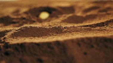 Fındık çikolata veya kakao tozu düşmek