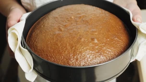 Vrouw met vers gebakken taart in pan bakken — Stockvideo