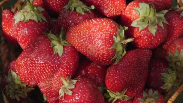 Helle Erdbeere rotiert an einem sonnigen Tag — Stockvideo