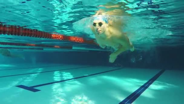 Vista submarina nadador nadando golpe de arrastre en la piscina — Vídeos de Stock