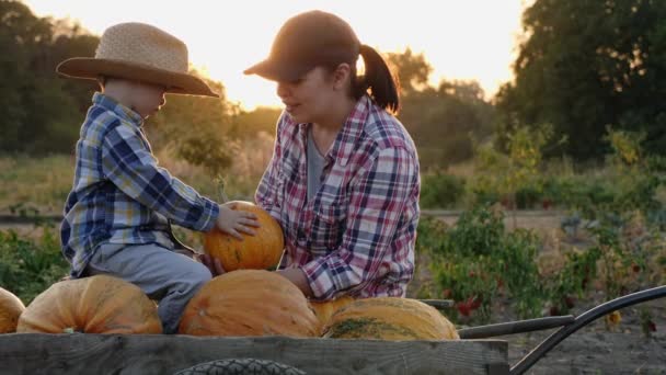 Mamá e hijo pequeño hablando cerca de un carro lleno de calabaza — Vídeos de Stock