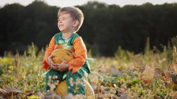 Un niño con traje de calabaza sosteniendo una calabaza en las manos — Vídeos de Stock