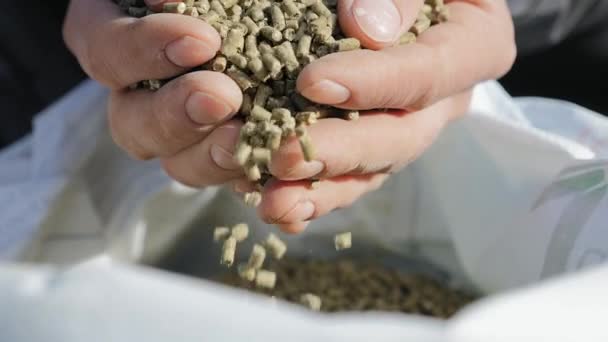 Granulovaná krmiva v rukou farmář close-up — Stock video