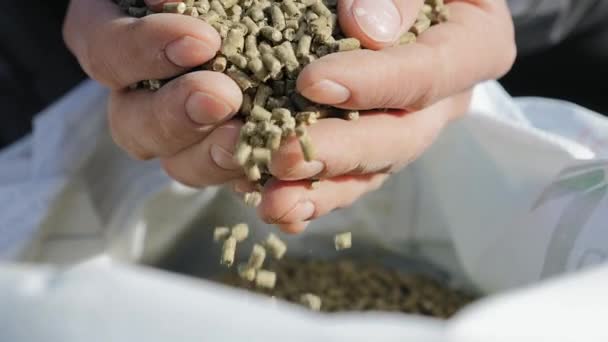 Alimentación granulada en las manos de un agricultor de cerca — Vídeos de Stock