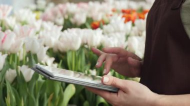 Bir sera içinde dijital tablet ile çalışan kadın