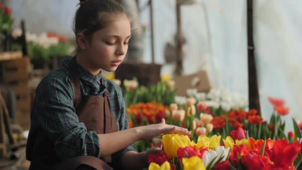 咲き誇るチューリップと温室効果で十代の少女 — ストック動画