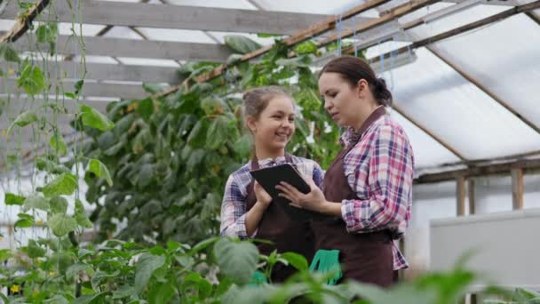 Giardiniere donna con sua figlia utilizzando tablet computer — Video Stock