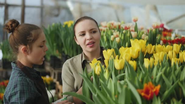 Av växthusgaser ägare och hennes söta tonåring dotter arbetar i ett drivhus — Stockvideo