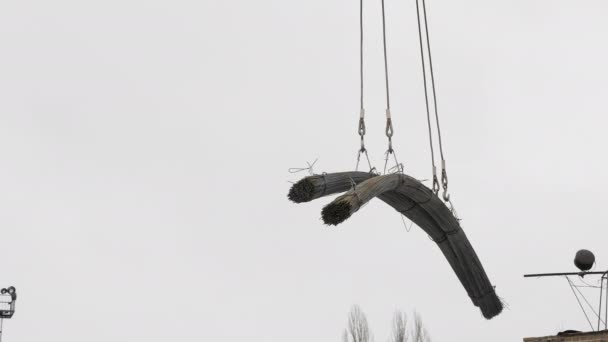 ガントリー クレーンは、長い金属棒の束を移動します。 — ストック動画