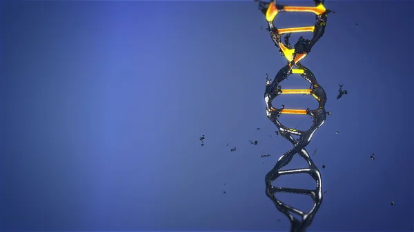 DNA molekülü yok edilir ve döndürme dönüşüyor