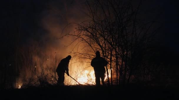 Två brandmän med eld flappers släcka en brand i skogen på natten — Stockvideo