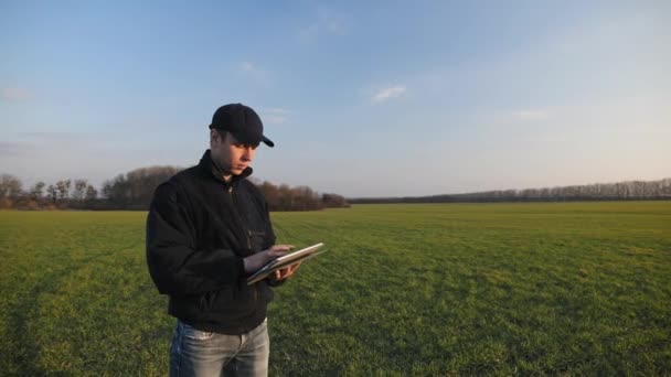 Bir buğday alanı içinde taşınabilir tablet bilgisayar ile erkek çiftçi — Stok video