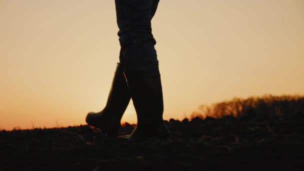 Male farmer in rubber boots walking through cultivated agricultural field — Stock Video