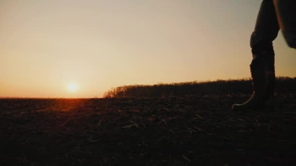 Maschio contadino in stivali di gomma che cammina attraverso il campo agricolo coltivato — Video Stock