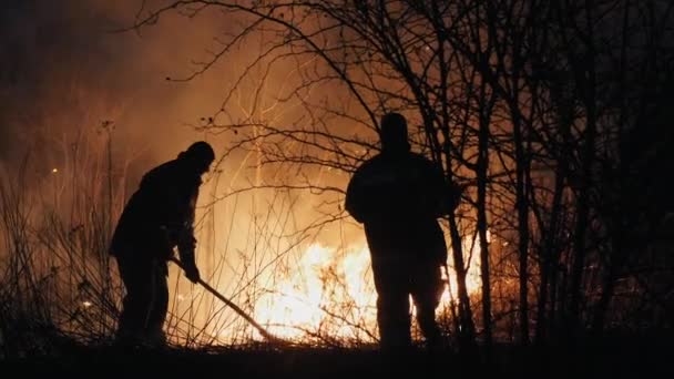 Двоє пожежників з вогнеметами гасять пожежу в лісі вночі — стокове відео