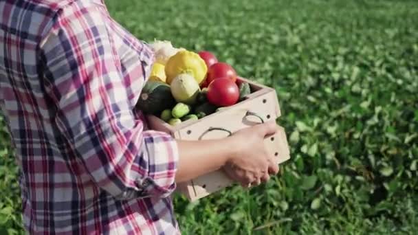 Kobieta rolnik nosi drewniane pudełko z różnymi warzywami — Wideo stockowe