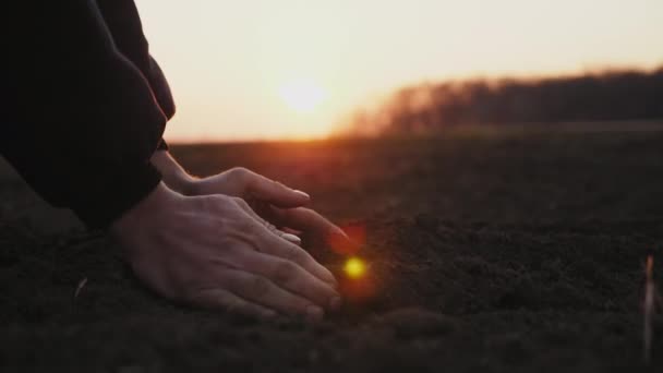 손을 클로즈업하여 땅을 잡고 있는 농부 — 비디오