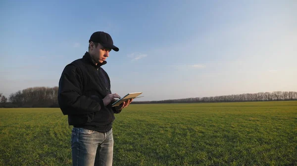 小麦の分野でポータブルタブレットコンピュータを持つ農家 — ストック写真