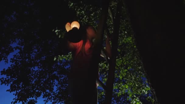 Kislány mászik fel a fából készült lépcsőn a fán éjjel — Stock videók