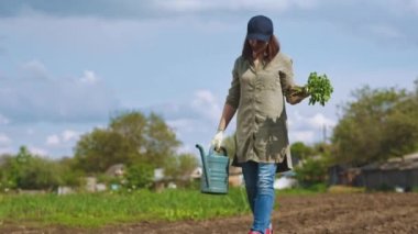 Bir kadın toprağa dikim için domates fidesi seçer