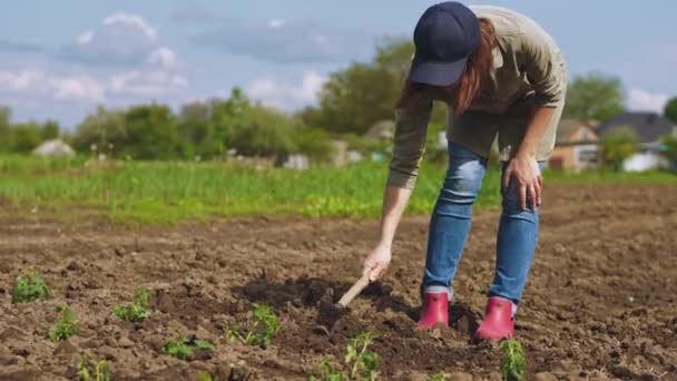 Boer met een pikhouweel maakt een gat in de grond — Stockvideo