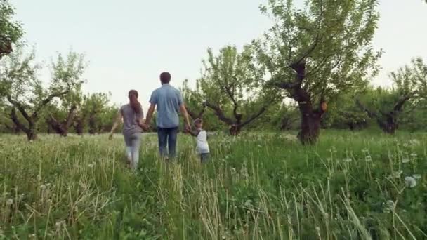 Lycklig ung familj av tre promenader i trädgården — Stockvideo