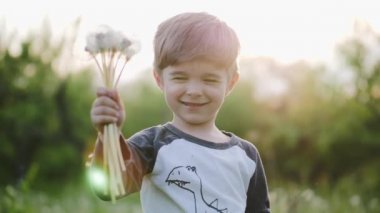 Karahindiba doğadaki ile oynarken küçük çocuk