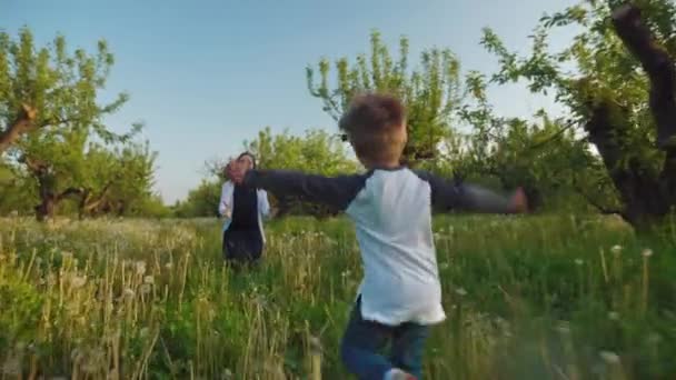 Kleiner Junge läuft Mutter in die Arme — Stockvideo