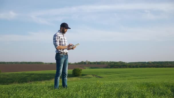 Farmer utiliza tableta en el campo del trigo verde joven — Vídeos de Stock