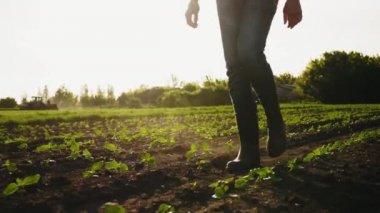 Bir çiftçi hareket traktör bulanık bir arka plan üzerinde lastik çizmeler bir alanda yürüyor. Kavramı: Kauçuk çizmeler, Lifestyle, Çiftçi, Yavaş Hareket, Alanlar.