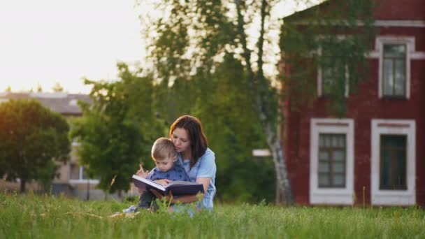 素敵な母は公園で小さな息子に本を読みます ファミリーコンセプト 本を読むバックグラウンドでのビルド — ストック動画