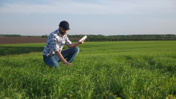 Retrato de fazendeiro trabalha em um campo de cevada jovem, usa um tablet. Vista lateral — Vídeo de Stock