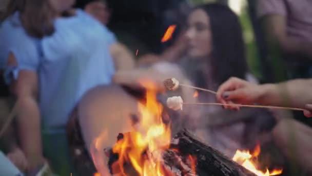 Amigos alrededor de una hoguera ardiendo en el bosque — Vídeos de Stock