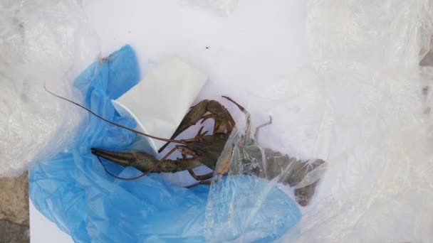 Río animal no puede salir de una pila de basura de plástico — Vídeos de Stock
