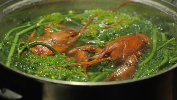 Cooking crayfish delicacy in the saucepan — Stock Video