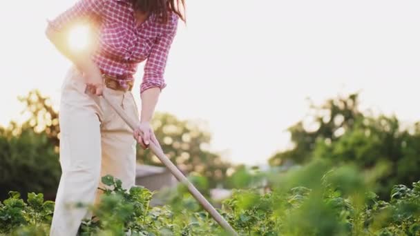 Mujer deshierve la tierra con una azada — Vídeos de Stock
