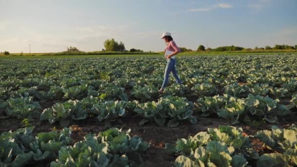 Woman walking on cabbage field — Stock Video