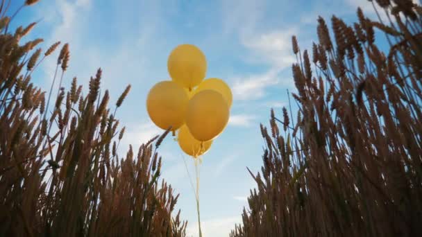 Желтые гелиевые шарики на пшеничном поле — стоковое видео