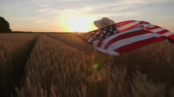 Vrouw loopt met de vlag van de VS in het veld — Stockvideo