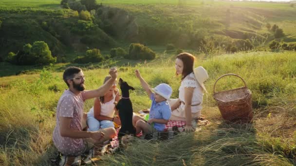 Família passando tempo juntos em um piquenique com seu cão — Vídeo de Stock