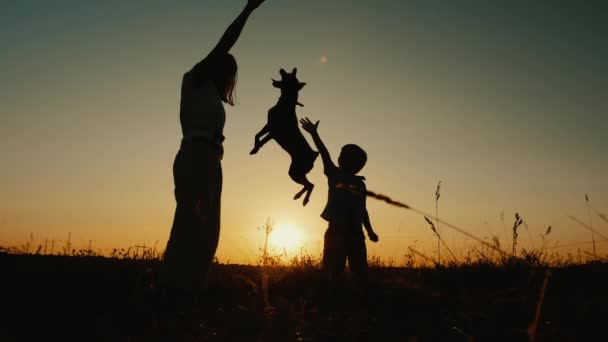 Madre e hijo jugando con un perro al atardecer. Movimiento lento — Vídeos de Stock