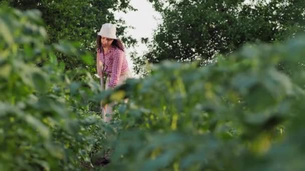 Mujer cansada agricultora sufre de dolor de espalda — Vídeos de Stock