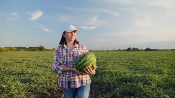 Kadın çiftçi elinde olgun bir karpuz taşıyor — Stok video