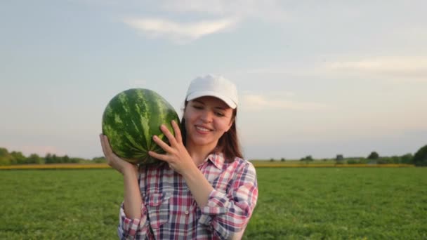 Fazendeiro carrega uma melancia madura em seu ombro — Vídeo de Stock
