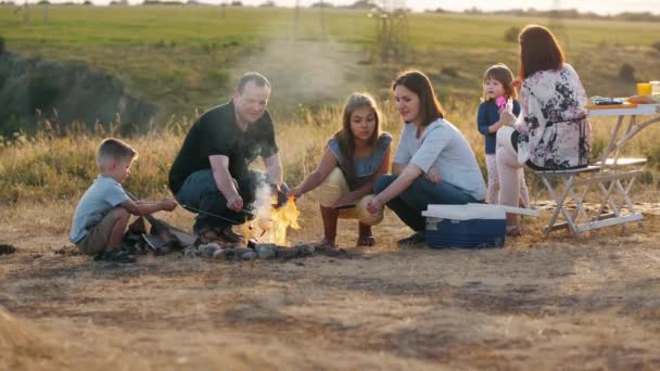 Twee familie van zes personen bij een picknick — Stockvideo