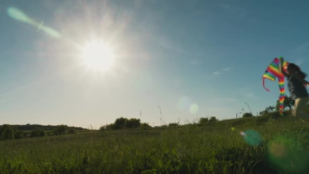 Famille courant avec un cerf-volant dans une prairie par une journée ensoleillée — Video