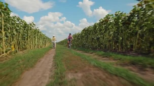 Family ride bicycles along a country road — Stock Video