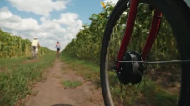 田舎道に沿って動いている自転車の車輪、クローズアップ — ストック動画