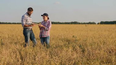 Nohut tarlasında çalışan bir çiftçi ailesi.
